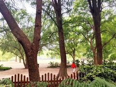 -共青国家森林公园-售票处