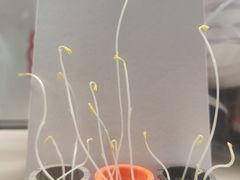 -饵块食光·云南有机手作饵块
