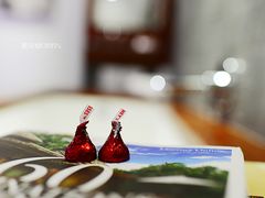 -上海艾本精品酒店