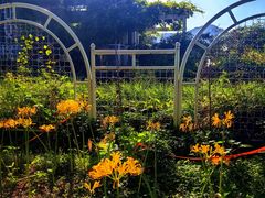 -国家植物园南园