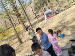 -白水寺森林公园