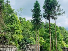 -梭布垭石林景区