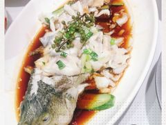 -紫光园·烤鸭(吕家营店)