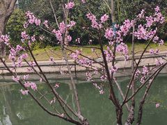-西湖天地
