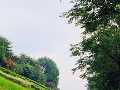 -聚缘堂·海鲜私房菜(松岭路店)