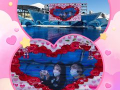 -上海海昌海洋公园