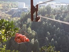 -云和湖仙宫景区