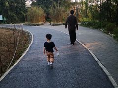 -桤木河湿地公园