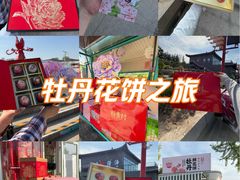 -曹州牡丹园
