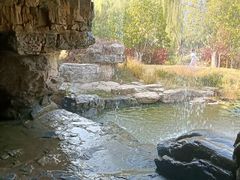-燕郊植物园
