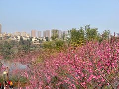 -重庆彩云湖湿地公园
