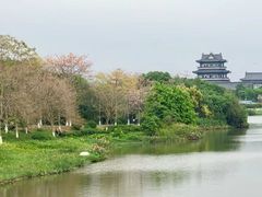 -海珠湖公园
