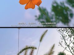 -北京奥林匹克公园
