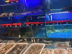 水产区-捞围鲜·港式打边炉(海阳路店)