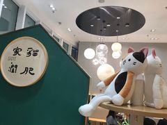 -飞行喵MR PILOT|猫舍·猫咖(静安大融城店)