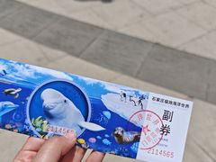 -石家庄极地海洋世界