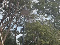 -金鸡湖桃花岛