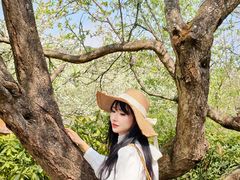 -名花谷生态庄园