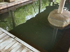 -昆明柏联SPA温泉