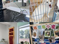 -派美特宠物医院·核磁CT·骨科肿瘤·疑难转诊(沈农禾丰店)
