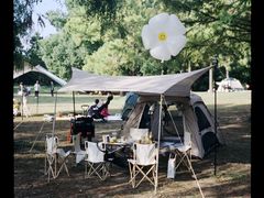 -上海共青森林公园