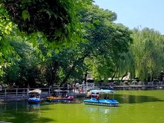 -莲湖公园
