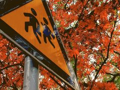 -颐和路民国时期公馆风貌区
