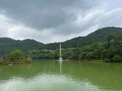 -广州白江湖森林公园