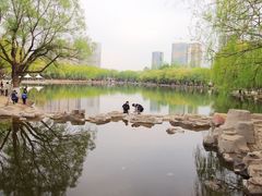 -青城公园