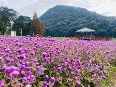 -广州市石门国家森林公园
