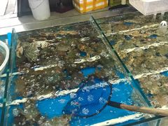 水产区-韩家墅海吉星农产品批发市场