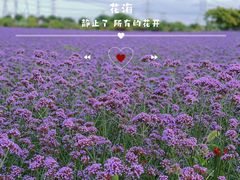 -上海杨姆庄园