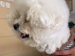 -美联众合24小时·皮肤科·外科·全科诊疗中心(华苑分院)