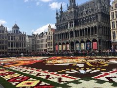 -布鲁塞尔大广场