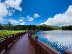 -海南热带雨林国家公园吊罗山景区