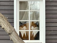 -三鹰之森吉卜力美术馆