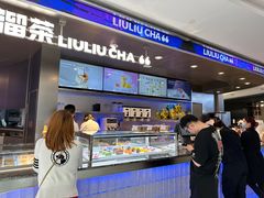 -TD66高山铁皮石斛养生茶饮