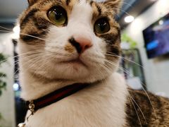 -肯德基(昌里店)