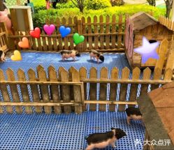 -萌宠亲子动物乐园(槐房万达店)