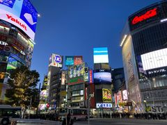 -涩谷全向十字路口
