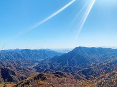 -大岭沟猕猴桃谷风景区