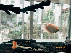-衡山汇·高级粤菜(霄云路店)