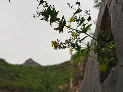 -圣莲山风景区