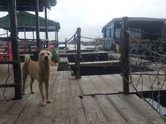 -海上驿站渔家菜馆