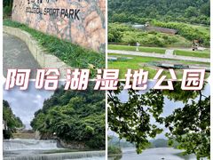 -阿哈湖国家湿地公园