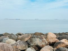 -上海吴淞炮台湾国家湿地公园