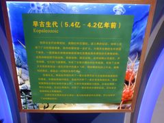 -玻璃桥景区石牛寨