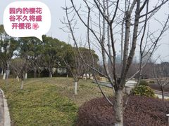 -颐景园