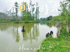 -森波拉奇妙世界