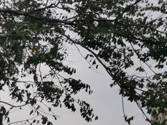-嘉亭荟城市生活广场二期